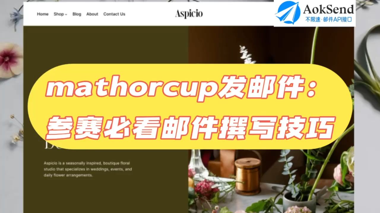 mathorcup发邮件:参赛必看邮件撰写技巧? mathorcup发邮件的注意事项?如何使用mathorcup发信?哔哩哔哩bilibili