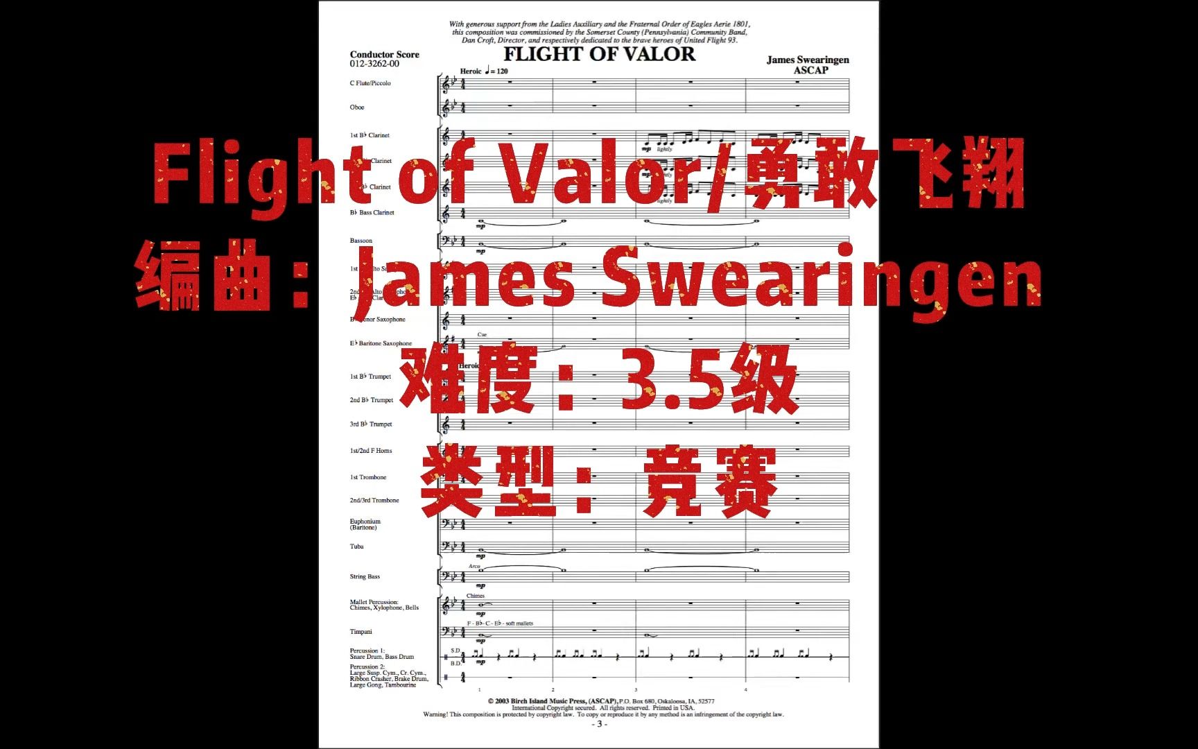 【3.5】Flight of Valor 勇敢飞翔 James Swearingen哔哩哔哩bilibili