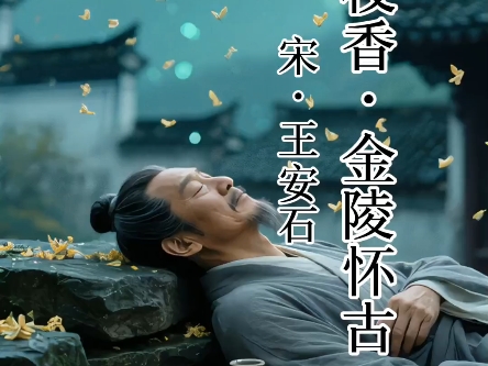 桂枝香·金陵怀古 宋 王安石