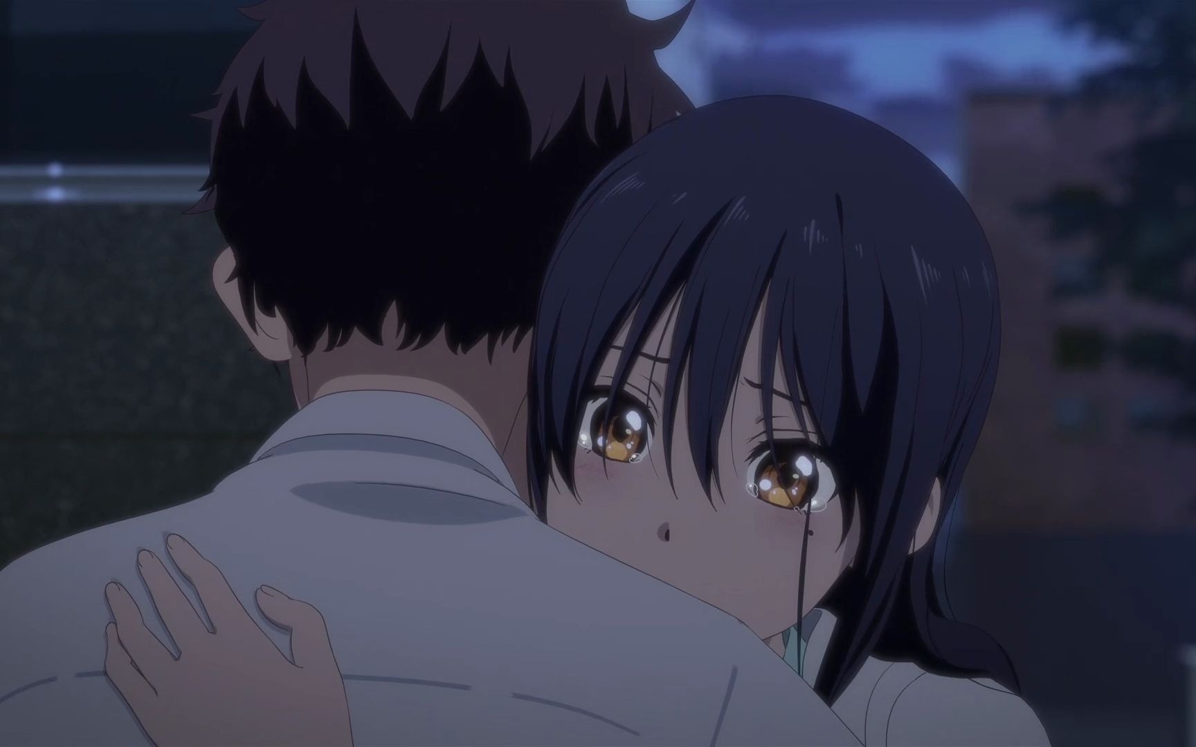 【hello world】我愿一直这样爱着你