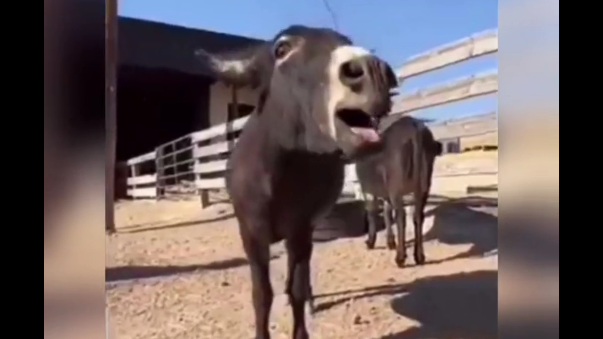 夹子音 # 做核酸 # 生活搞笑趣事 # 幽默搞笑段子.