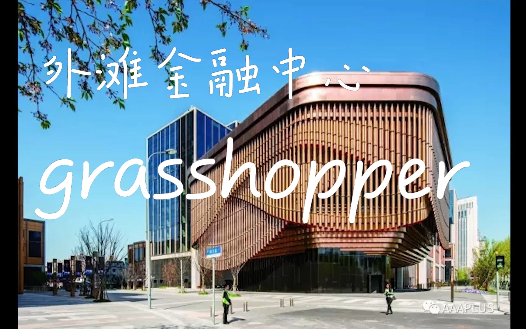 外滩金融中心(BFC)grasshopper01day哔哩哔哩bilibili