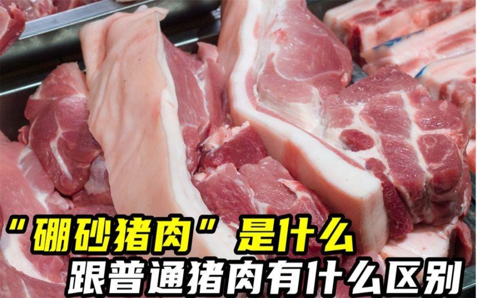 “硼砂猪肉”是什么?跟普通猪肉有什么区别,学会不花冤枉钱哔哩哔哩bilibili