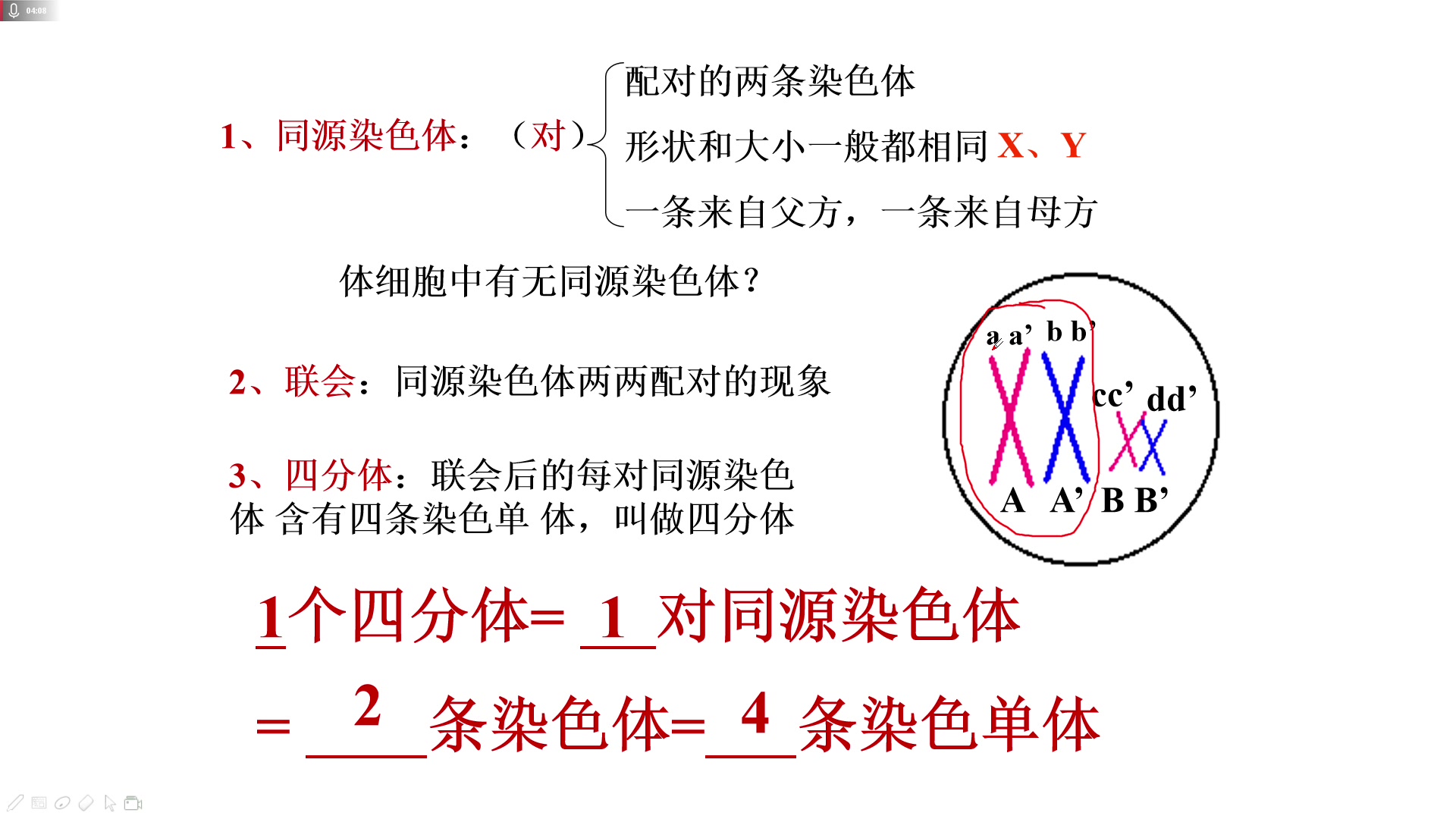 细胞分裂专题哔哩哔哩bilibili