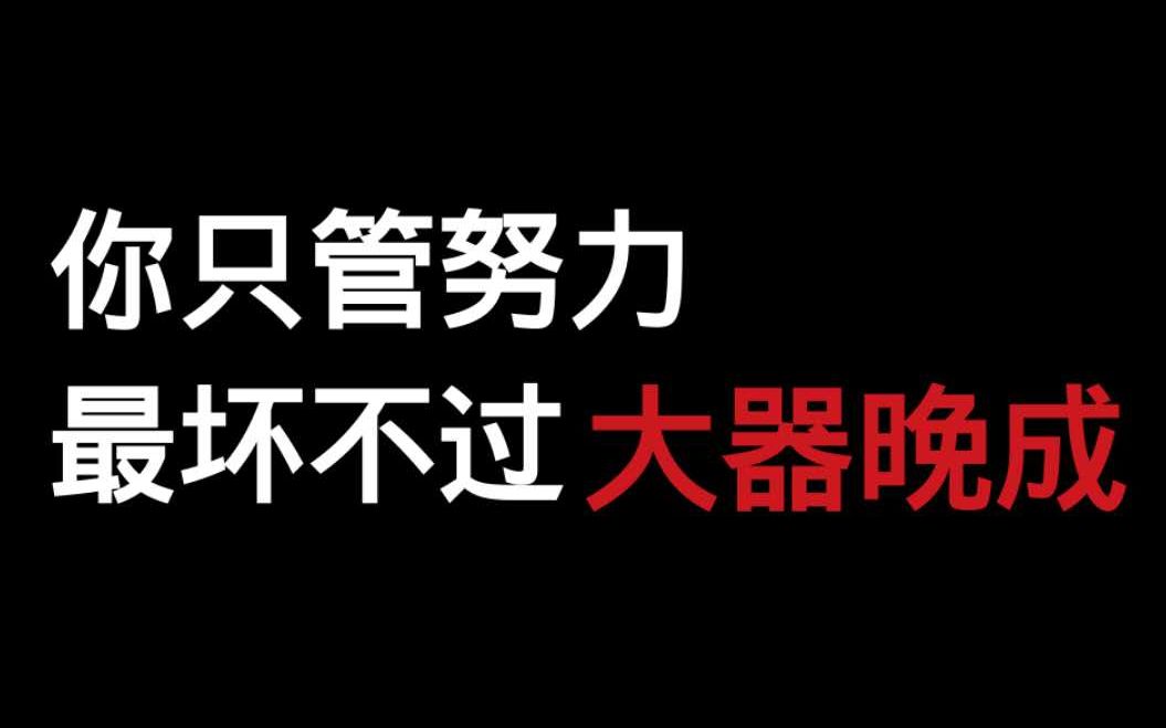 高质量书摘你只管努力最坏不过大器晚成