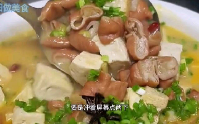 家常菜肥肠炖豆腐哔哩哔哩bilibili