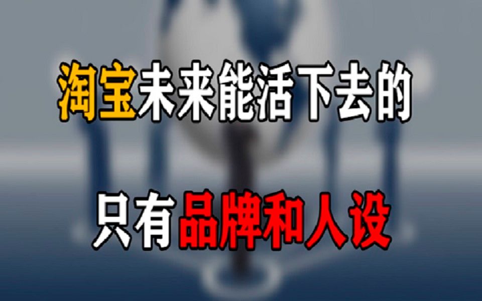 在淘宝未来能活下去的只有品牌和人设:有人设的品牌更能够圈粉哔哩哔哩bilibili