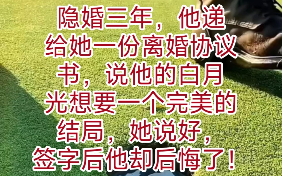 《情深手册》 隐婚三年,他递给她一份离婚协议书,说他的白月光想要一个完美的结局,她说好,签字后他却后悔了!哔哩哔哩bilibili