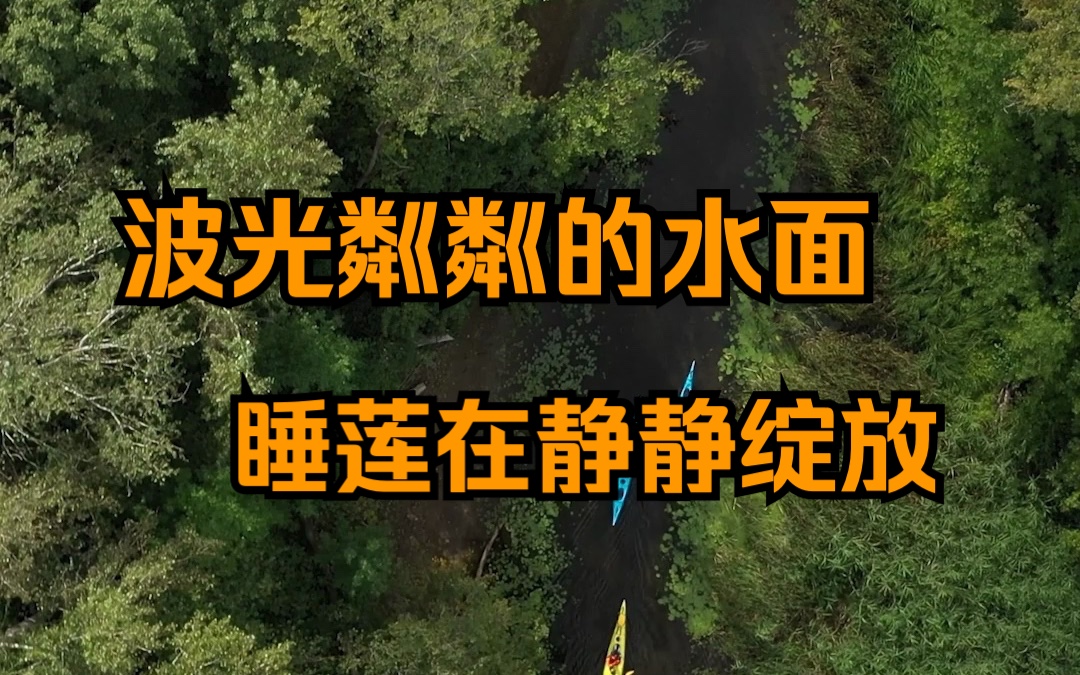 冒险|彻底放松的奇遇之旅,听萨拉托夫州芦苇的低吟!哔哩哔哩bilibili