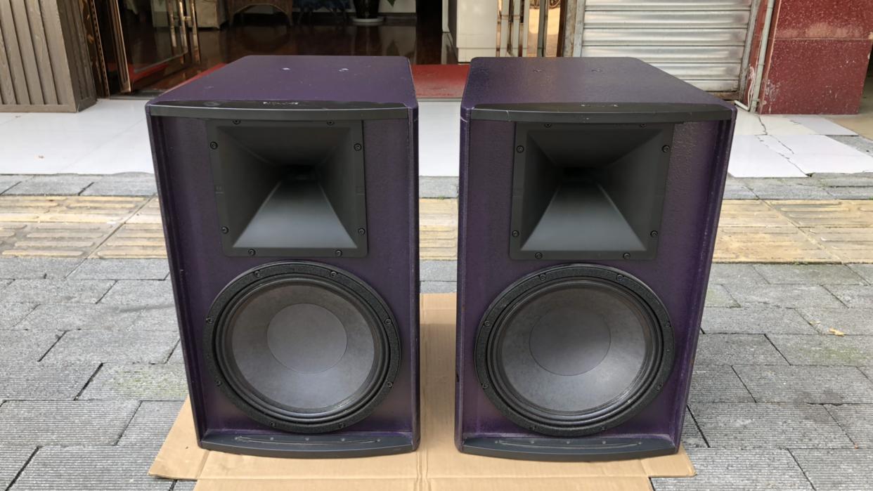 唐龙太极12寸蓝宝m6,低音纸盆凹面设计,高频柔顺,低频澎湃