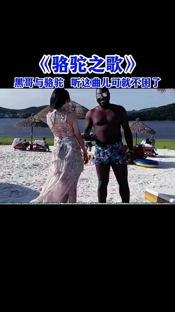 经典骆驼之歌哔哩哔哩bilibili