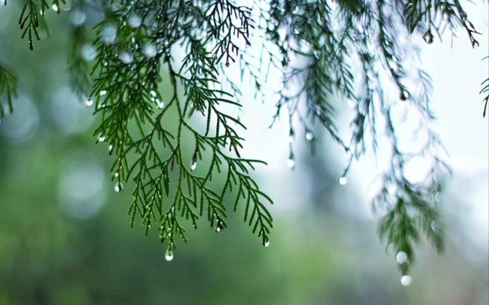 [图]家住半山腰，突如其来的山雨