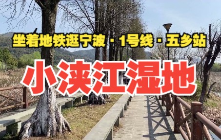 宁波大名鼎鼎的甬江曾经叫大浃江,那你知道小浃江的故事吗?哔哩哔哩bilibili