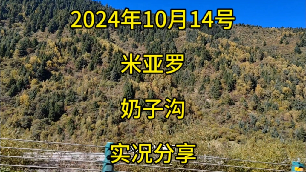 2024年10月14号,米亚罗、奶子沟实况分享哔哩哔哩bilibili