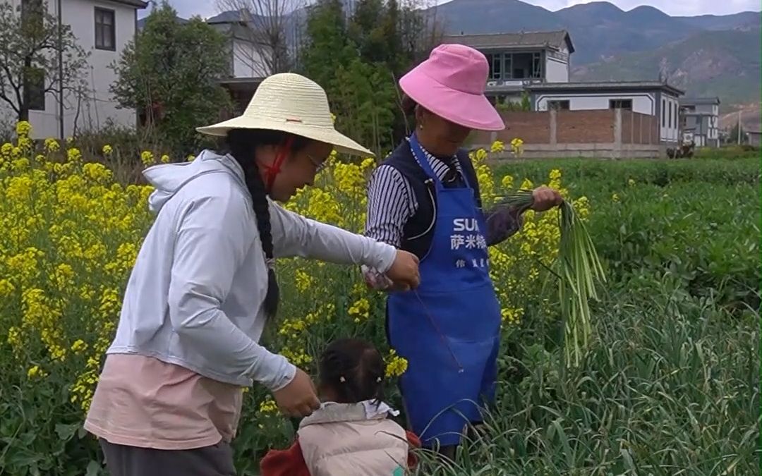 [图]大花猫跟着妈妈去菜地里抽蒜苔，回来就做了好吃的蒜苔炒肉。