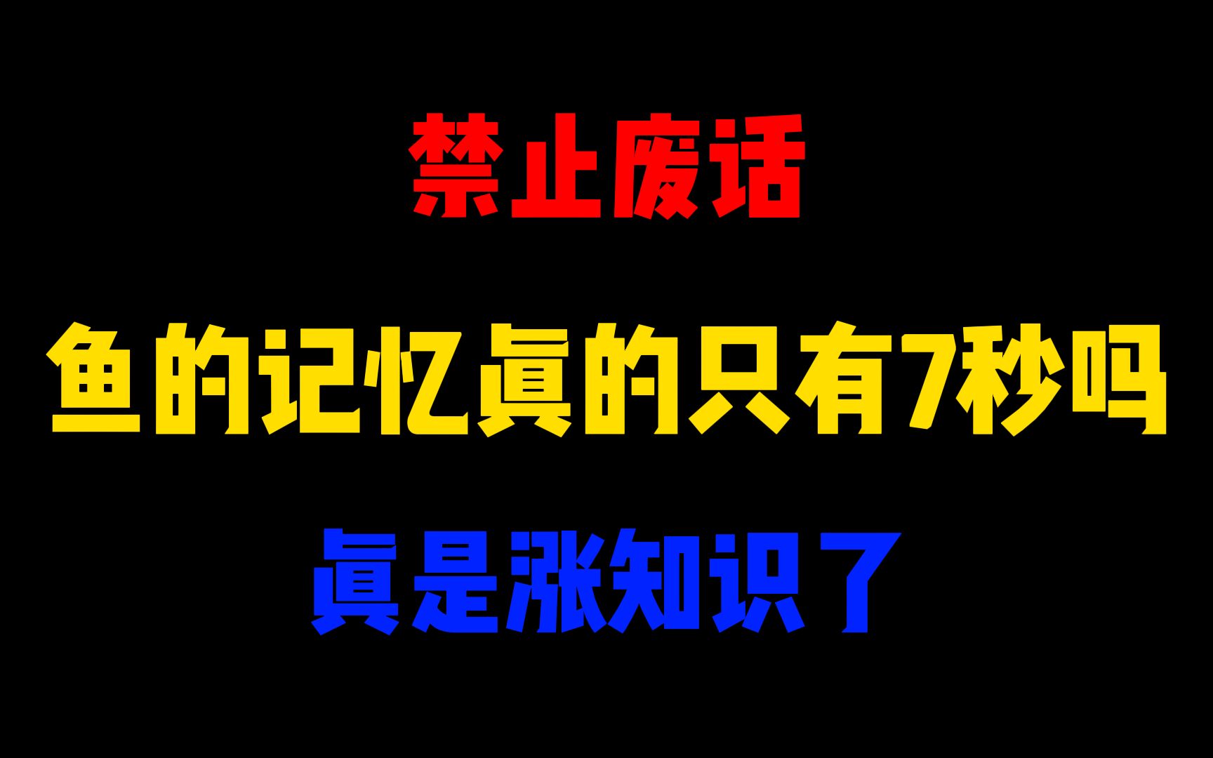 禁止废话:鱼的记忆真的只有7秒吗?真是涨知识了哔哩哔哩bilibili