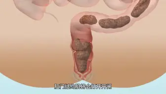 美味食物是如何变成恶臭大便的？看看大便的形成过程你还愿意吃饭吗