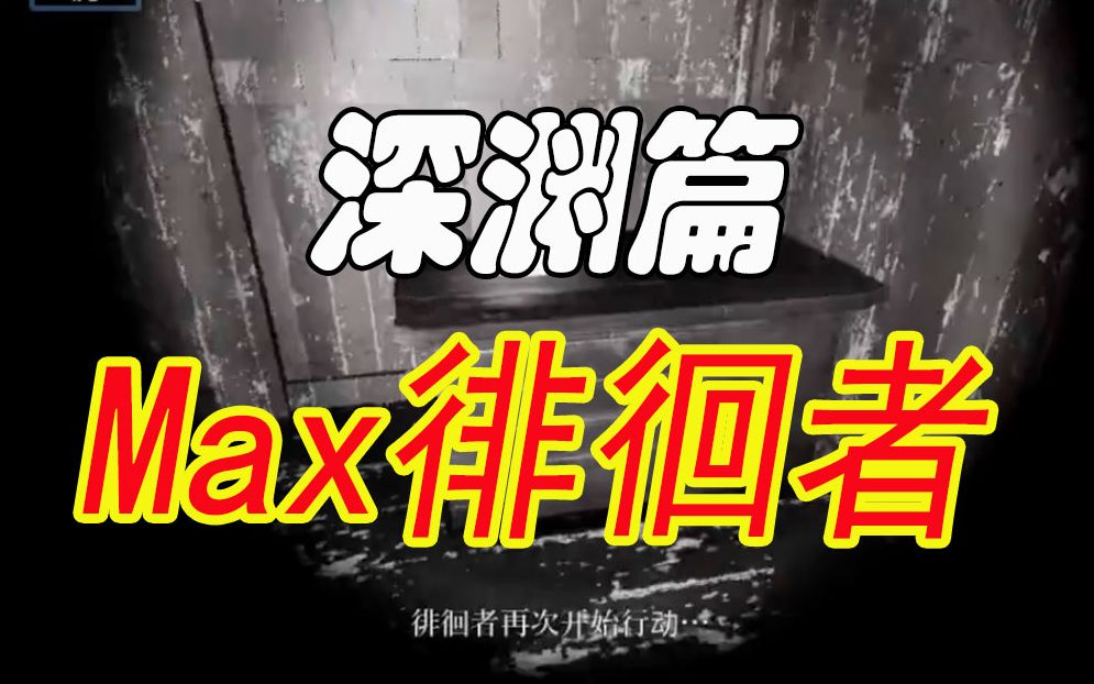 崽崽影廊深渊max全徘徊者