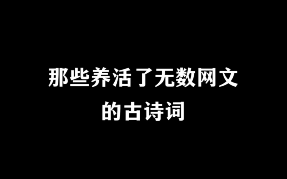 这些诗词养活了多少网文小说?哔哩哔哩bilibili