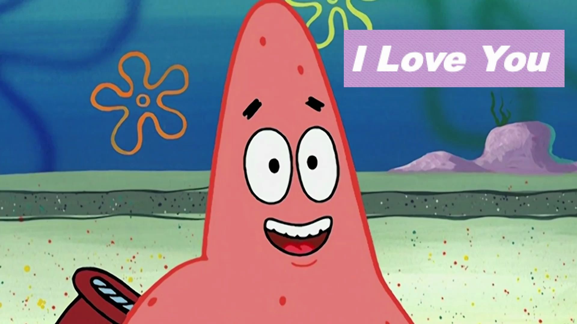 你知道派大星与小蜗是堂兄弟吗?