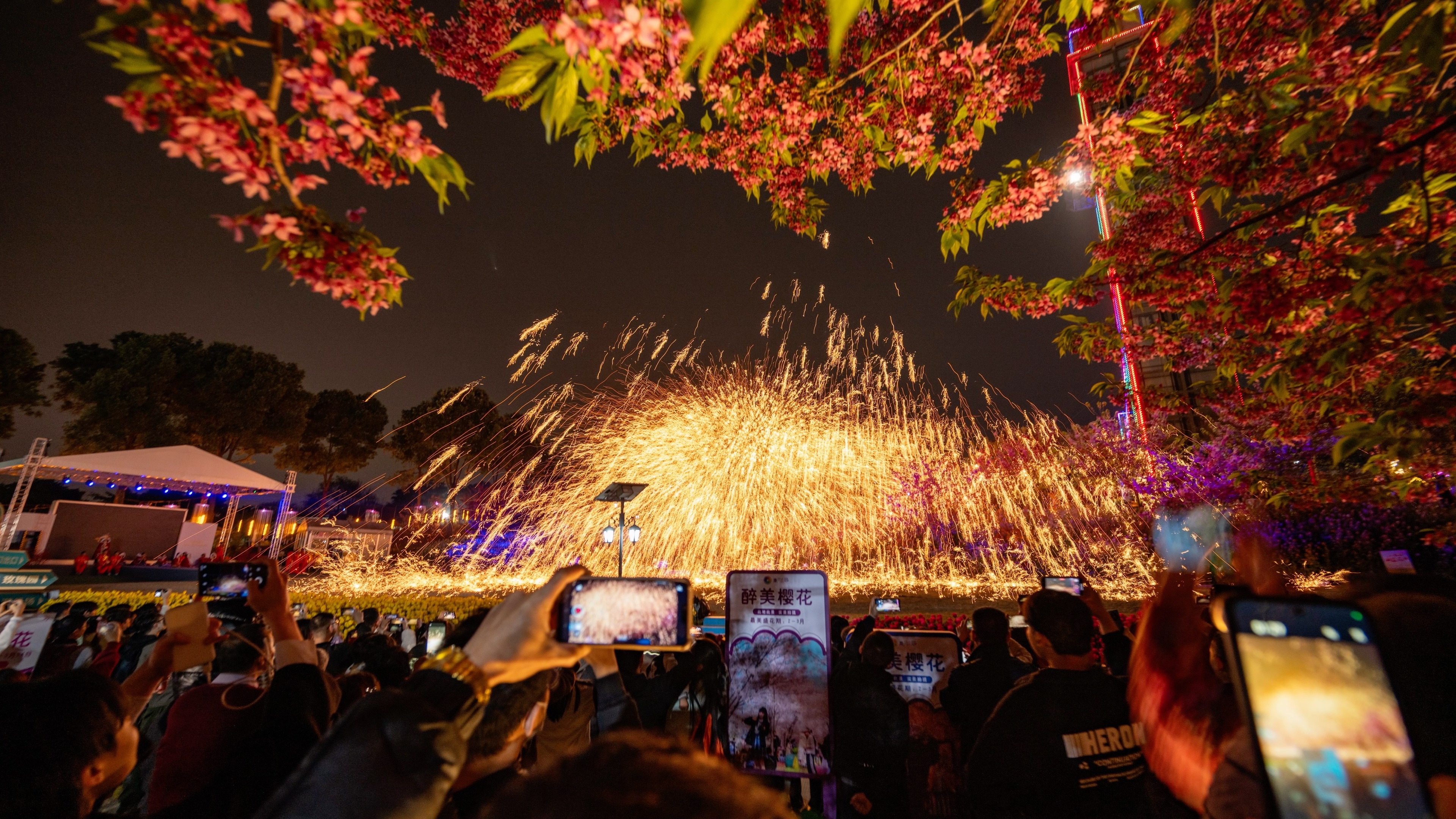 【4knraw94成都漫花庄园】第一次看打铁花是什么体验|夜赏樱花|z8|n
