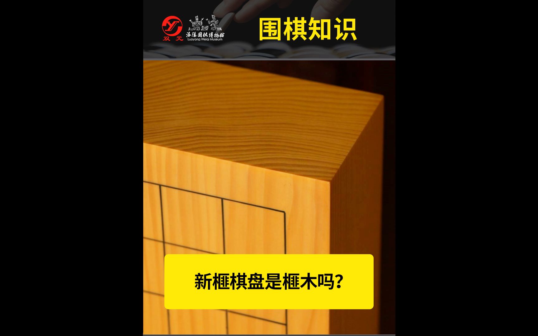 新榧棋盘是榧木吗?哔哩哔哩bilibili