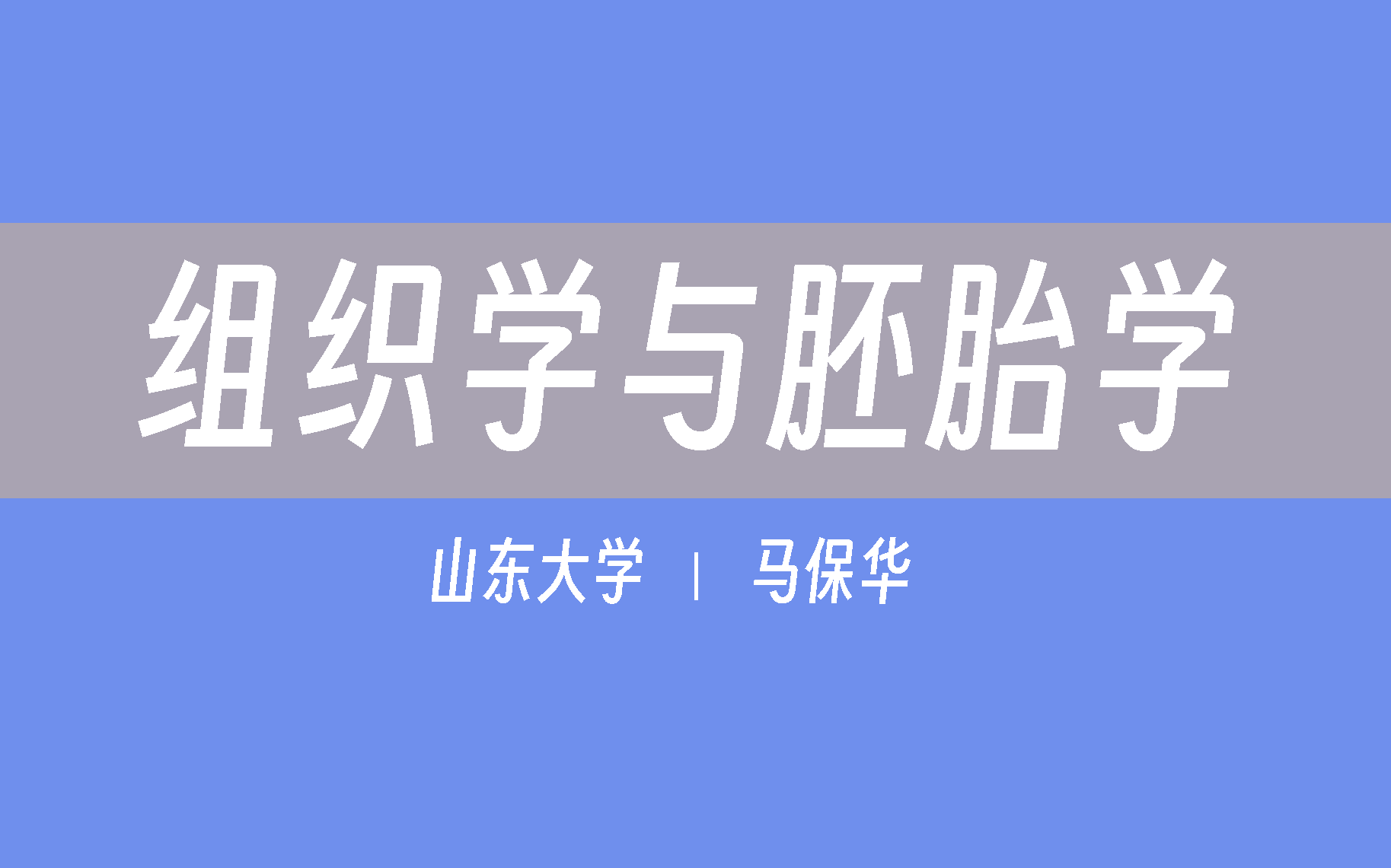 【SDU|HUST】组织学与胚胎学(合66讲)马保华 李和哔哩哔哩bilibili