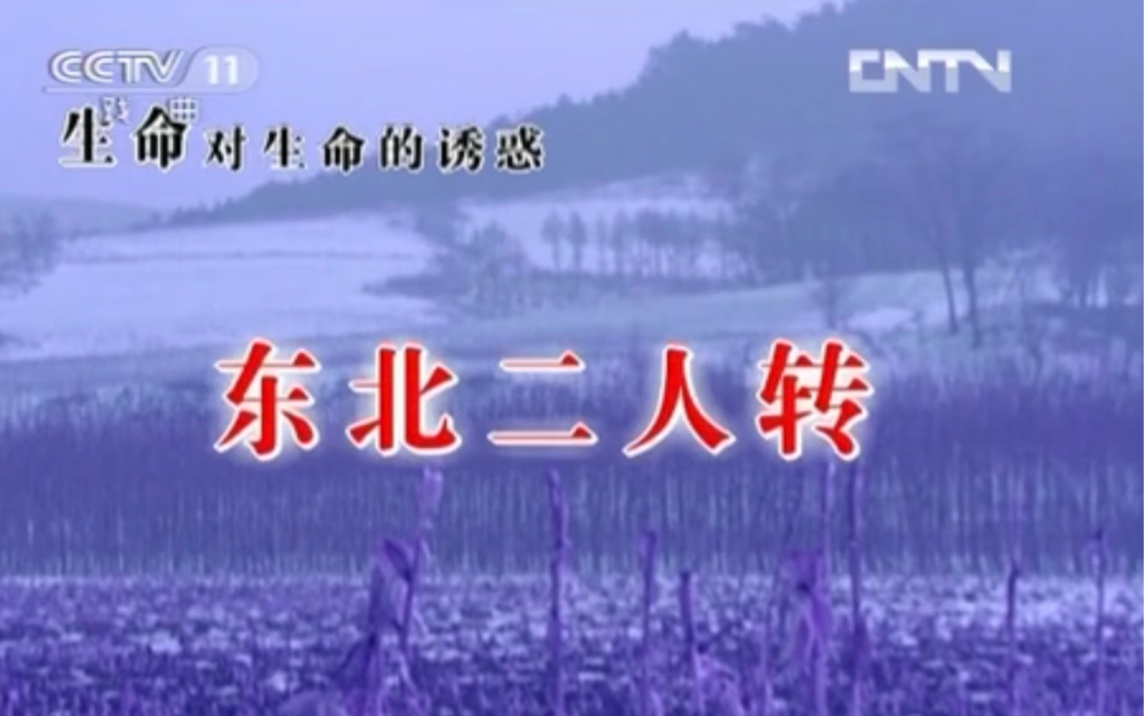 cctv11《戏曲频道特别节目61东北二人转》片头_哔哩哔哩_bilibili