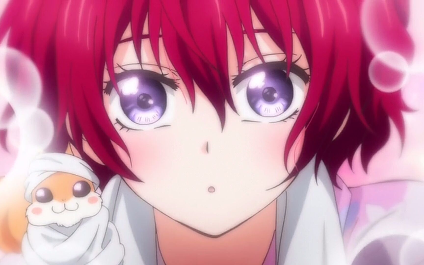 【晨曦公主】小松鼠合集(我要承包你的所有萌点 !)_哔哩哔哩_bilibili