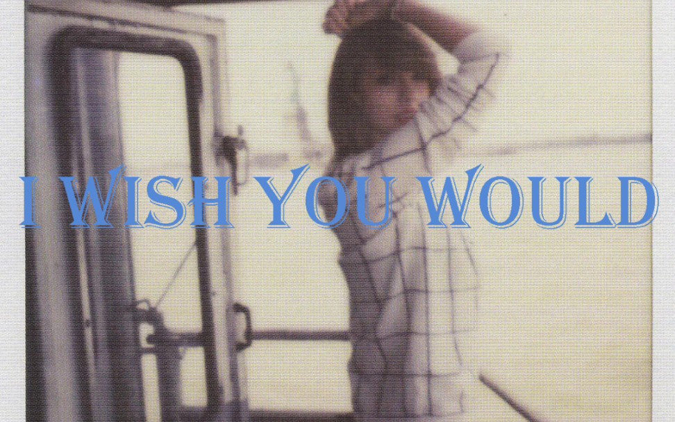 [图]【I wish you would】现场全集，持续更新中