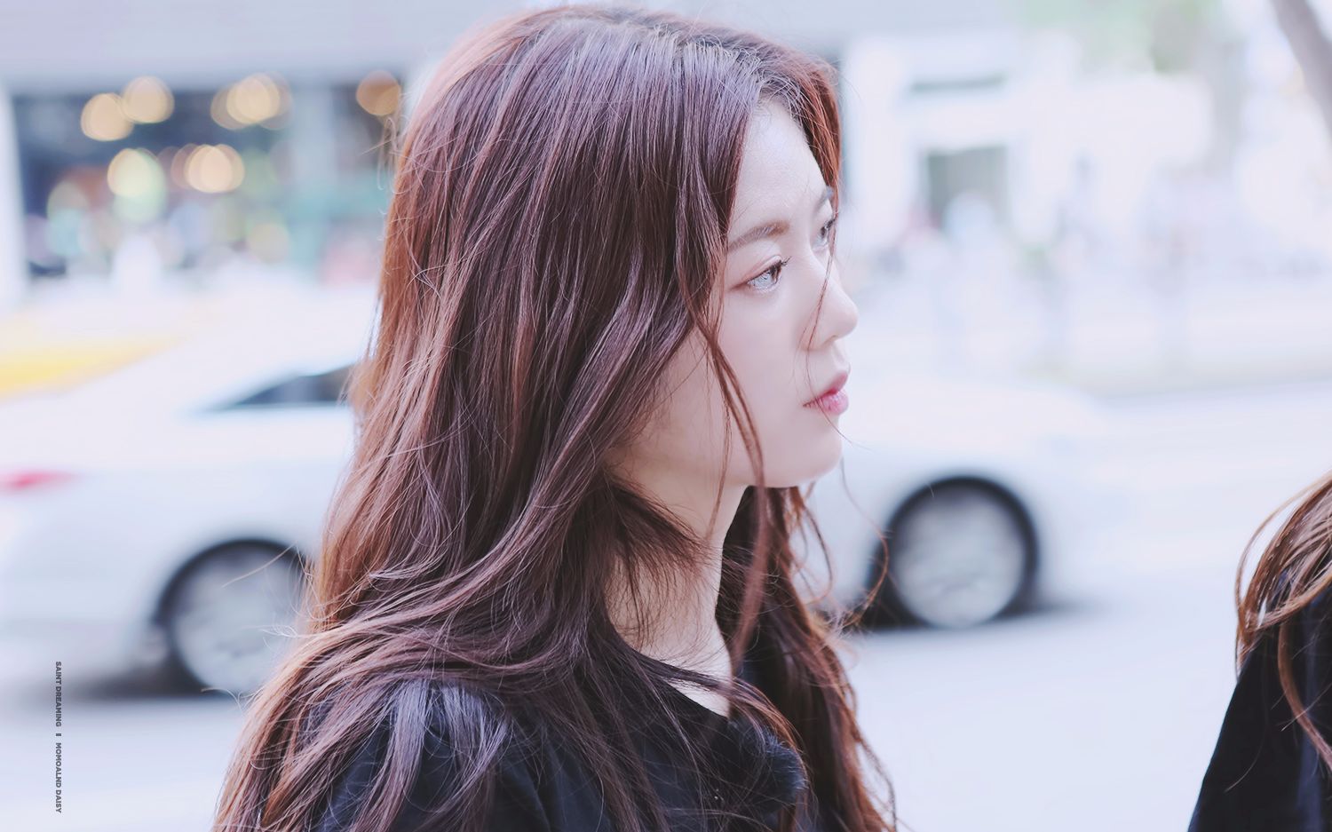 【daisy柳贞安】saintdreaming直拍合集