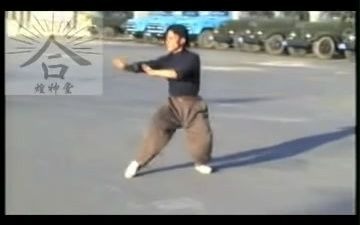 [图]梅花螳螂拳 摘要 1 6 - YouTube