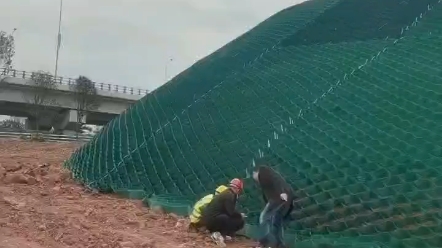 高分子蜂巢约束系统土工格室生产厂家