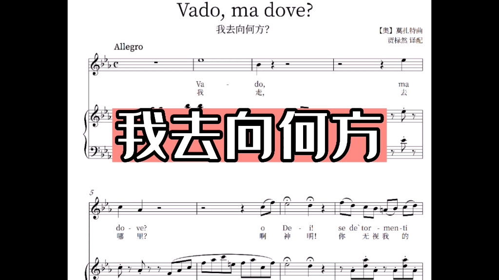 [图]Vado，ma dove？我去向何方 演唱：女高音蔡雪飞