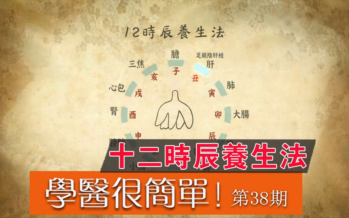 [图]中医小知识！第38期：十二时辰养生法！