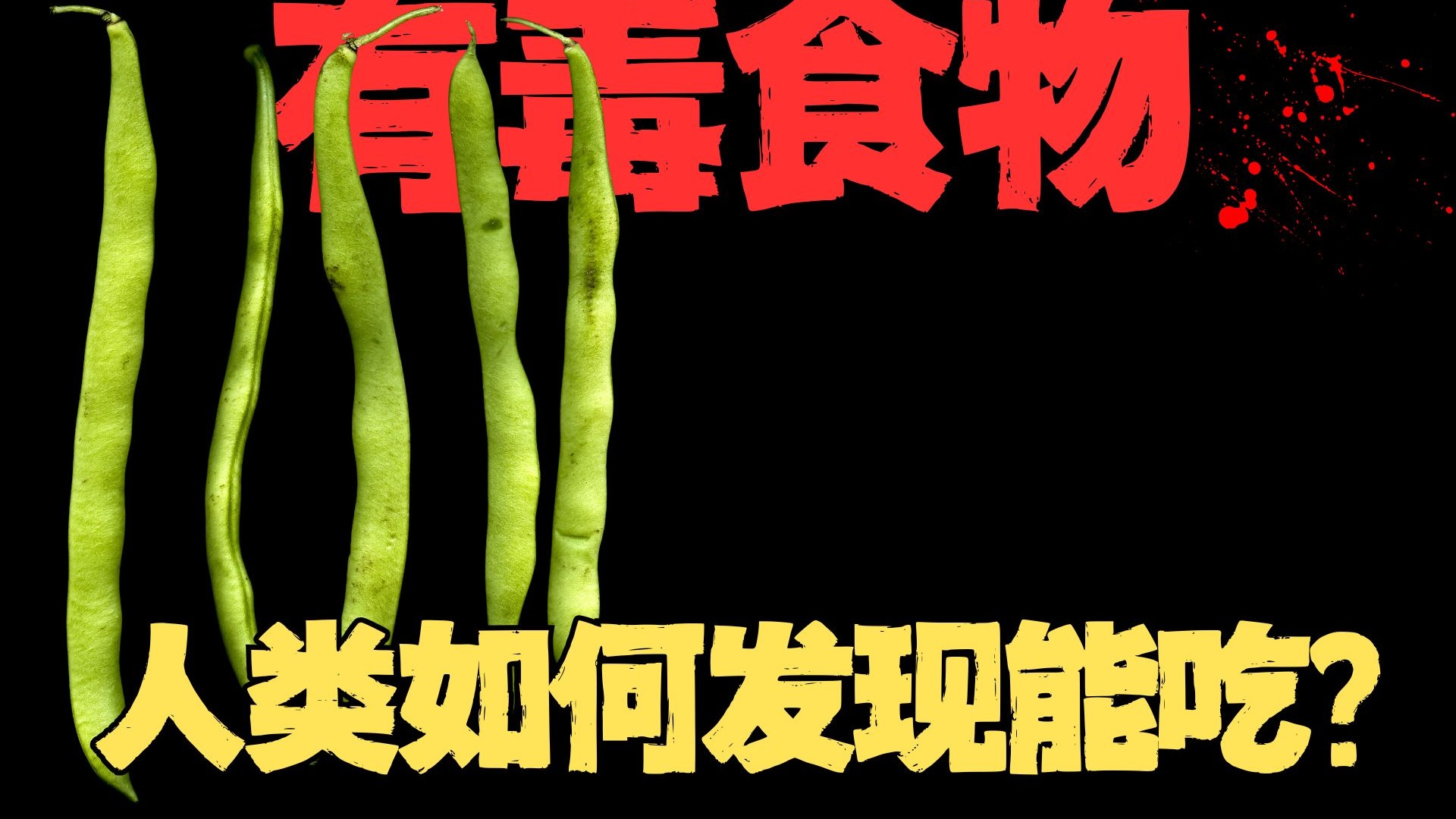 很多食物处理不好都有毒，人类为了吃付出了多少惨痛的代价？