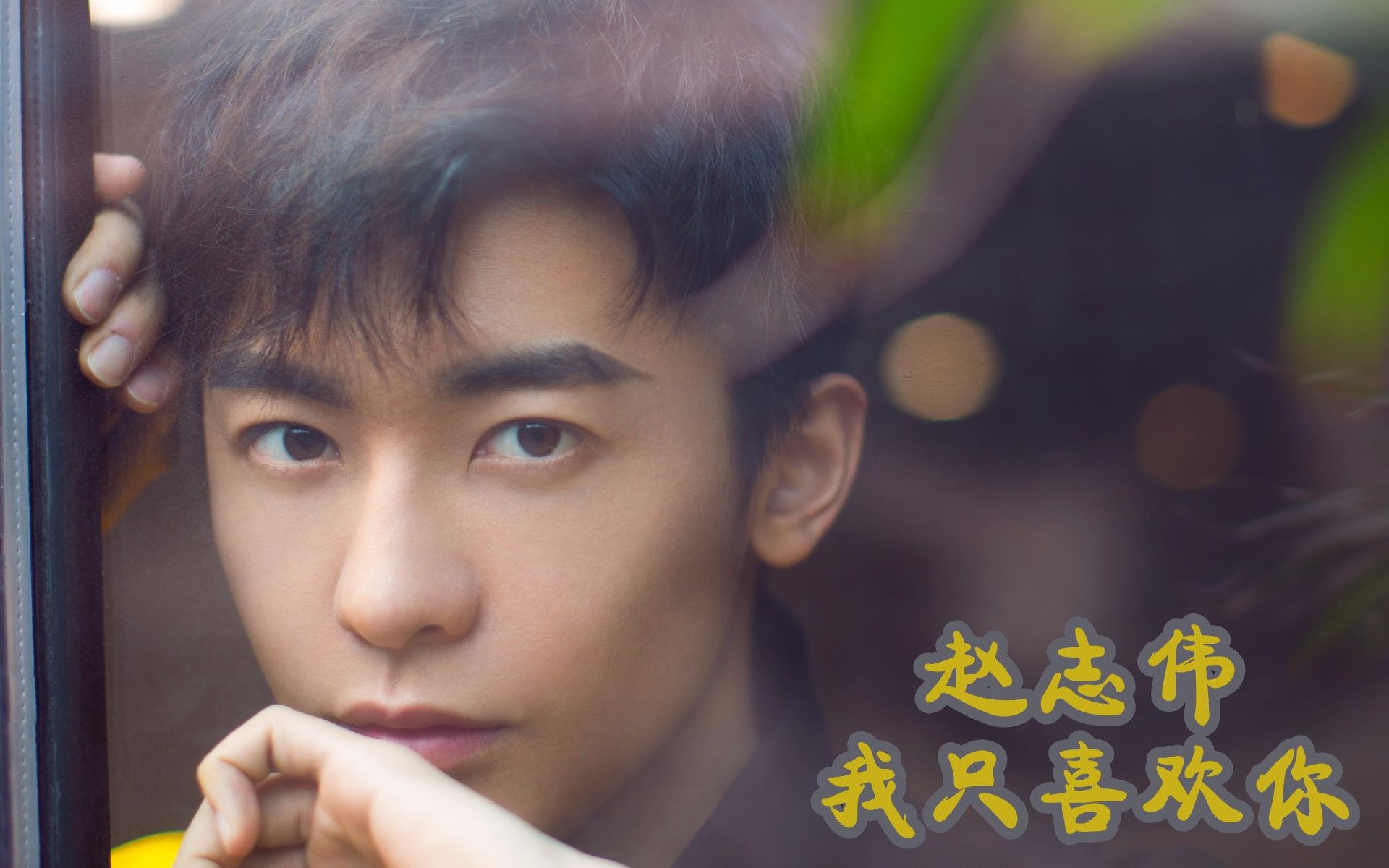 赵志伟我只喜欢你