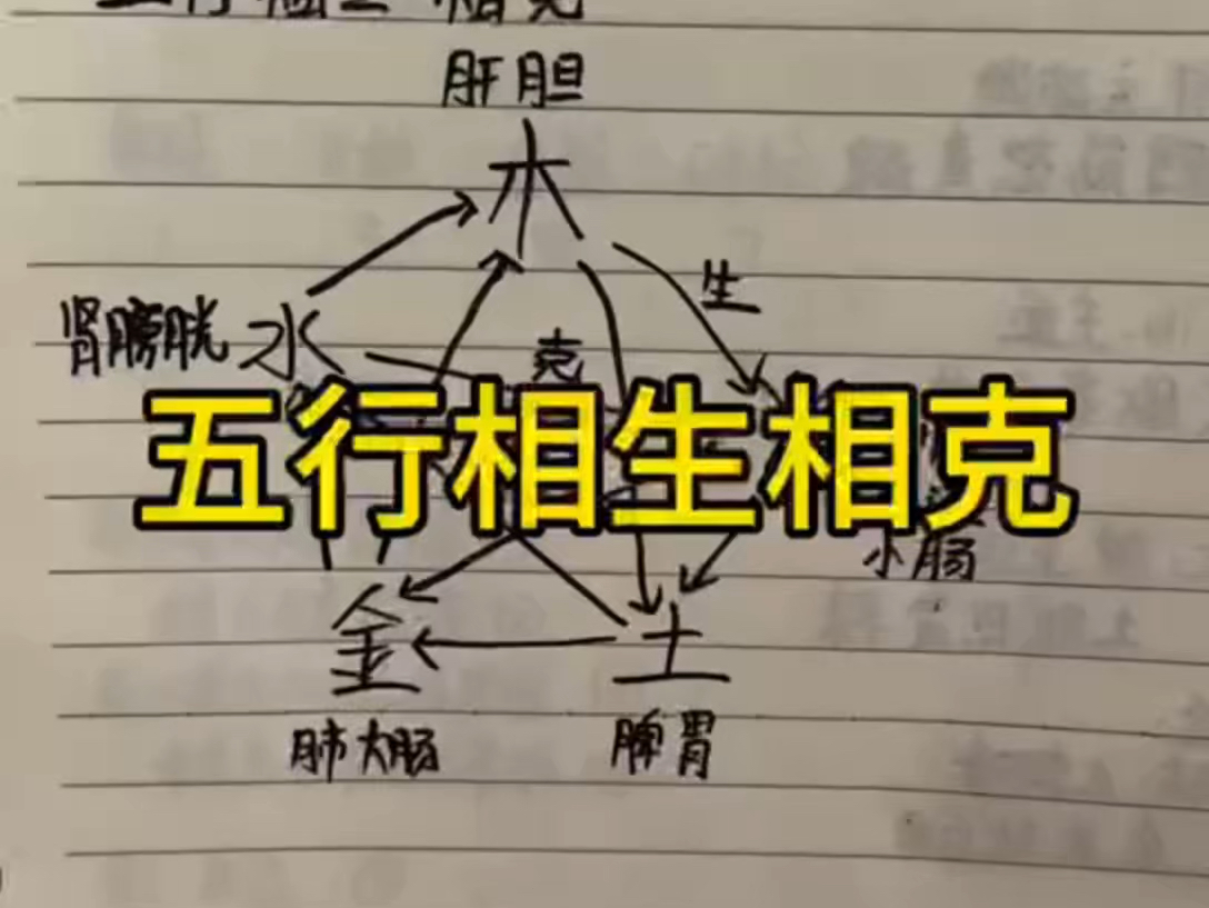 四柱八字基础知识,五行相生相克的关系,快速认识学会五行相生相克哔哩哔哩bilibili