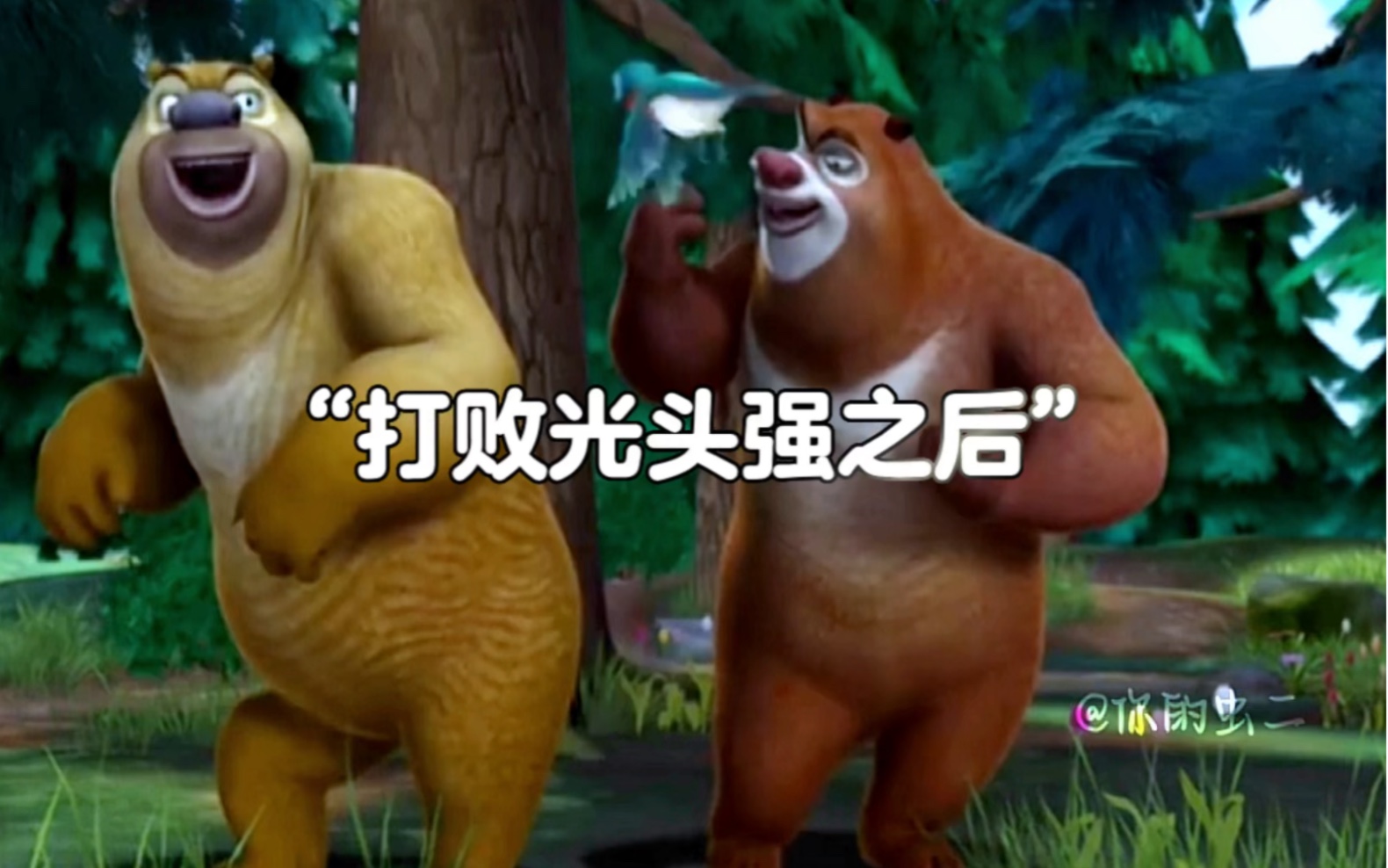 两头熊和一个光头陪伴了我们整个童年