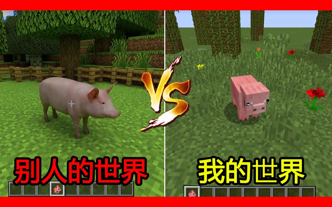 我的世界:别人的世界VS我的世界!别人的猪,这么真实!杂谈