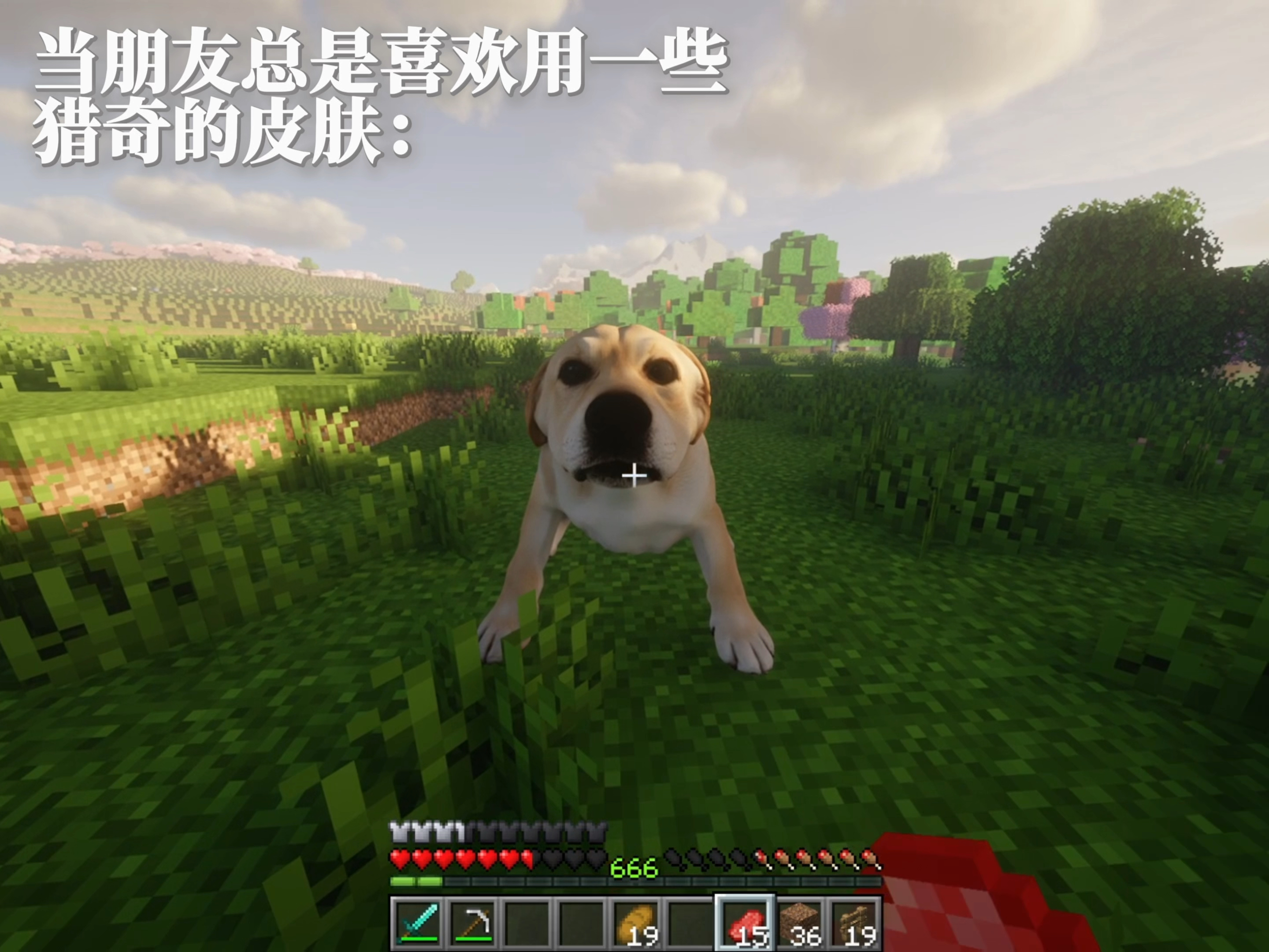 当你的朋友总用那些猎奇皮肤和你一起玩