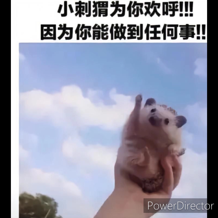 [图]【自制】˗ˋˏ愿你开心！ ˎˊ˗