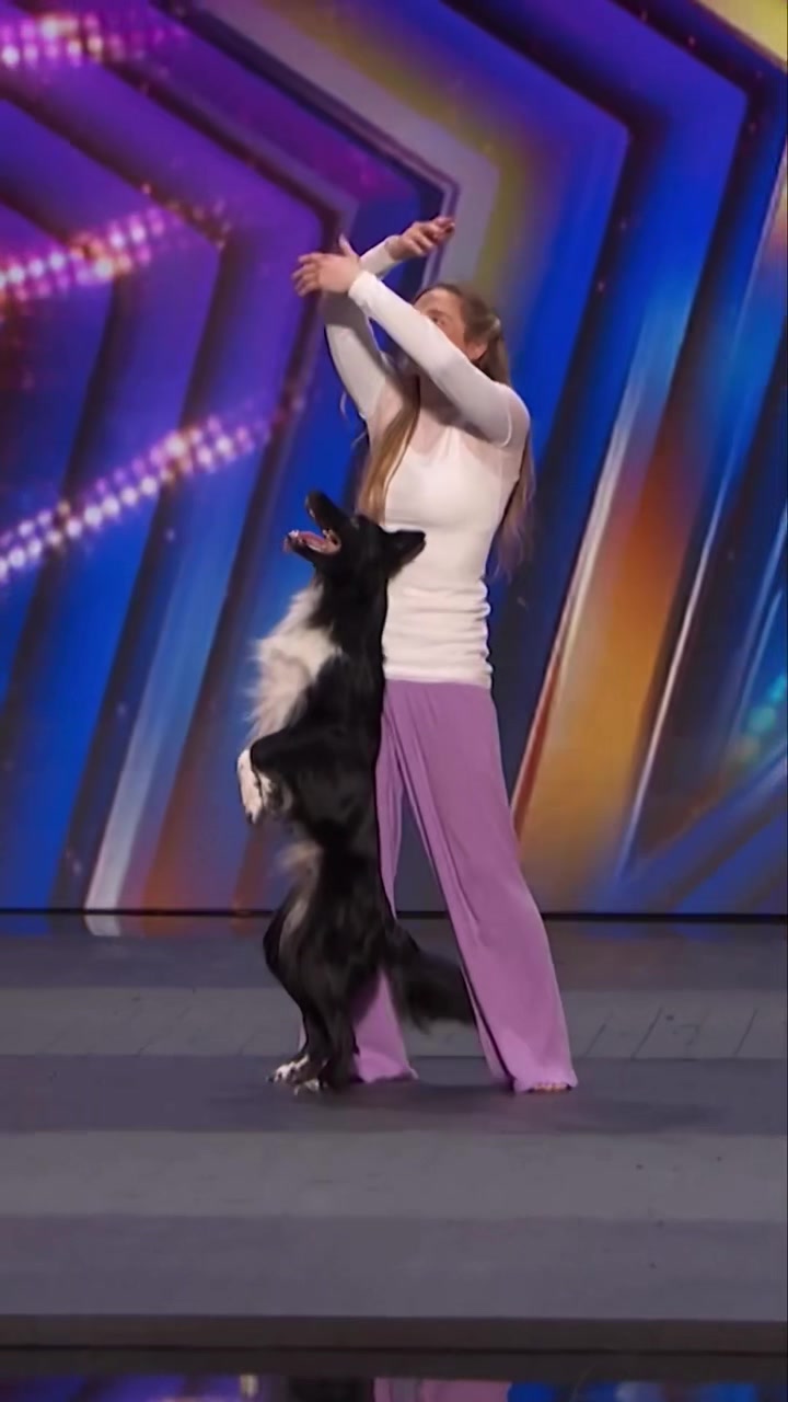 #agt #agtauditions #dogdance #caninefreestyle #dogtraining #dogs #talent #americ哔哩哔哩bilibili