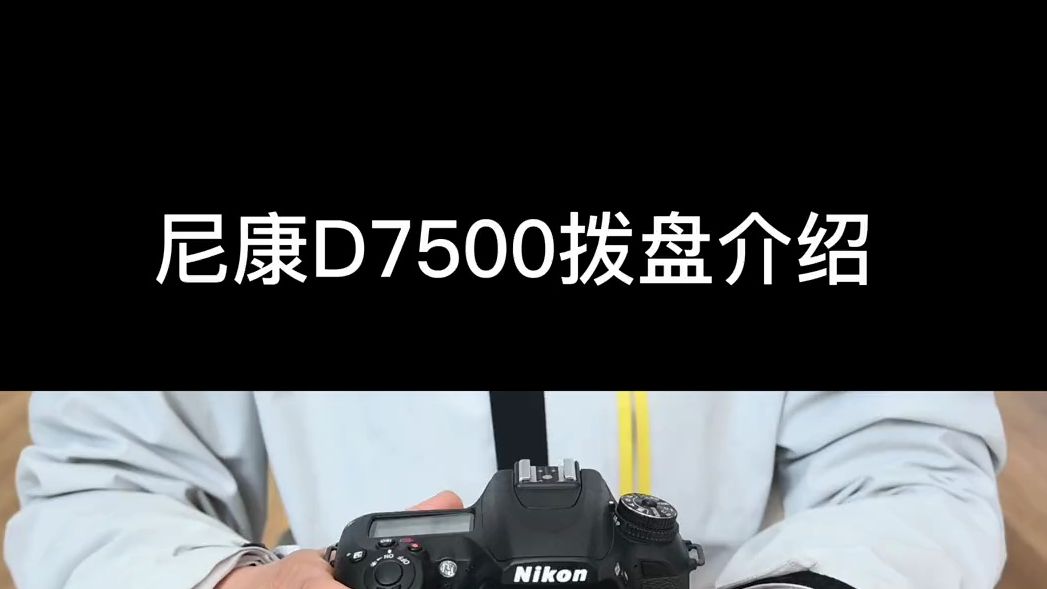 尼康d3100模式拨盘图解图片