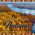 4K ᵁᴴᴰ ?从空中秋天的自然美景，秋天的无人机航拍画面，放松音乐，秋天的风景，秋天的树叶和秋天的落叶 (适合2160