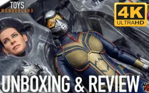 Download Video: 【转载】[4K画质] Hottoys 1/6 MMS498 蚁人2 黄蜂女现身 黄蜂女 Wasp 开箱评测