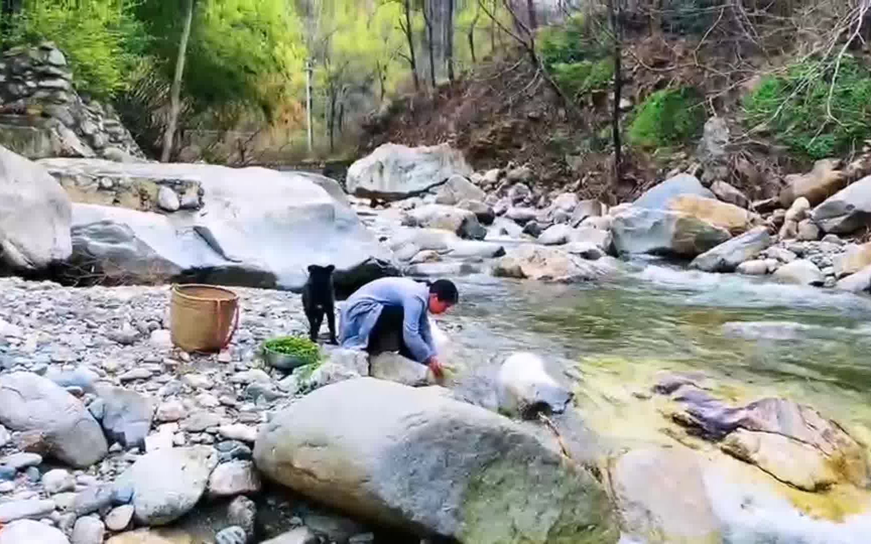 春天秦岭山中的小蒜长出来了,挖点做小蒜鸡蛋盒子,新鲜又美味哔哩哔哩bilibili