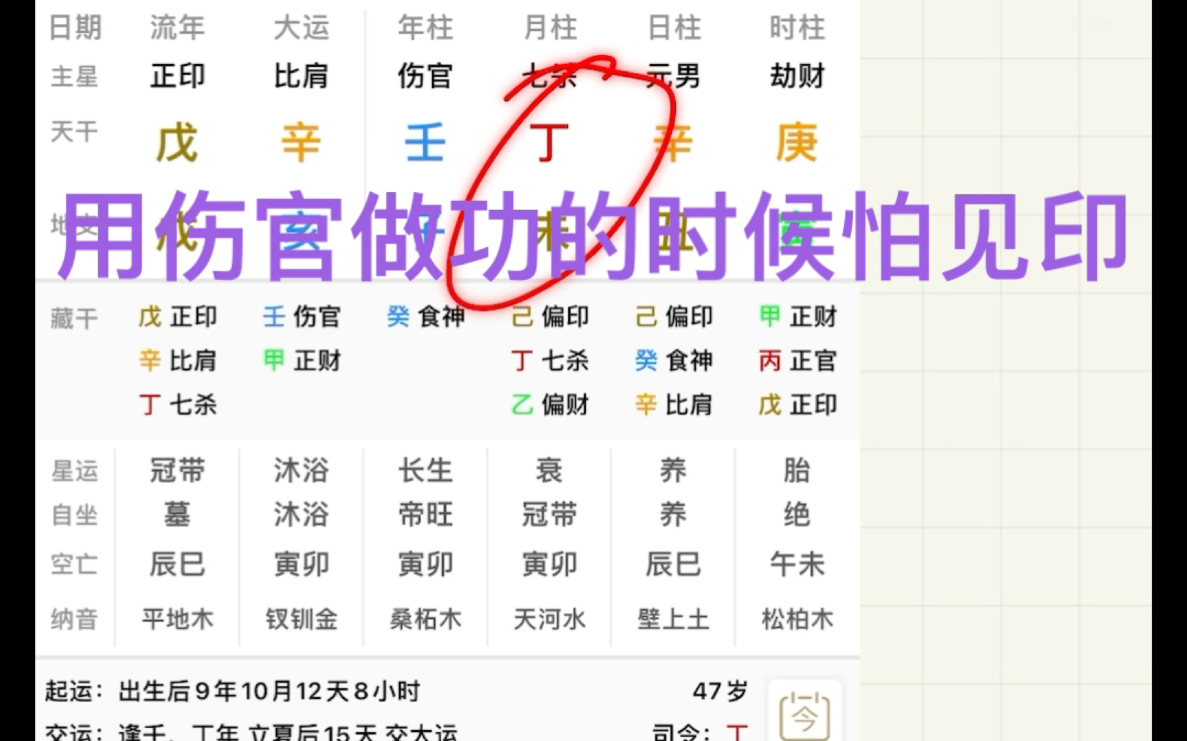 罗永浩八字分析:辛丑日出生的人都很善于营销和包装自己!哔哩哔哩bilibili