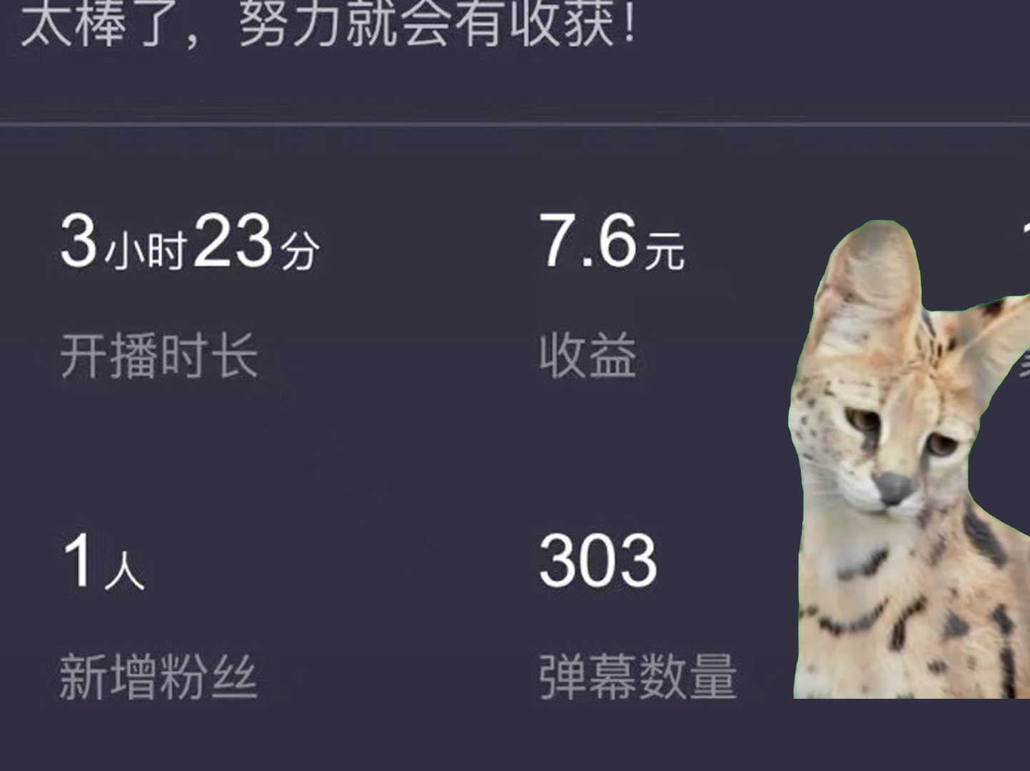 [图]【猫meme】我在佳人娱乐得到了什么？