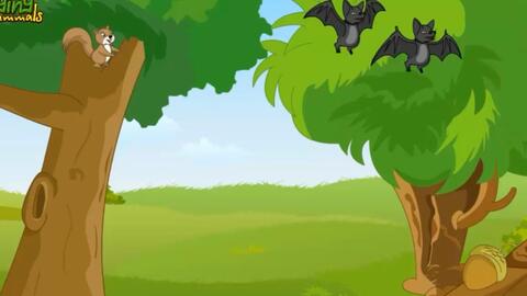 看动物视频学习英语科普知识 蝙蝠bats 中英文对照趣味学习 哔哩哔哩